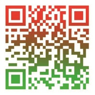 НАРОДНАЯ ПЯТИЛЕТКА